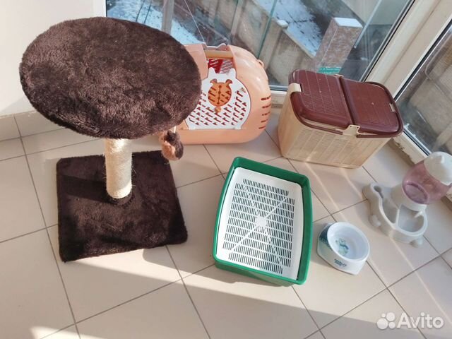 Когтеточка для кошек переноски