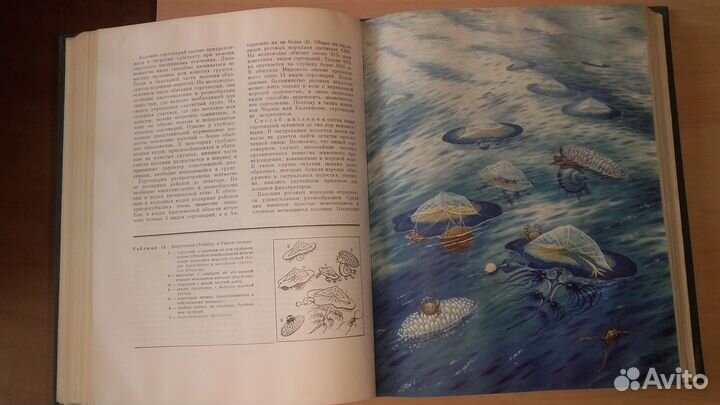 Книги Жизнь животных. 7 томов. 1968 г