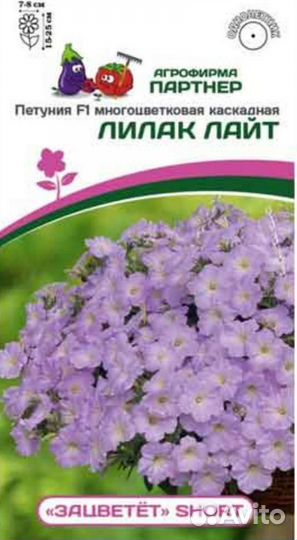 Семена петунии