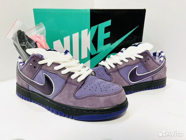 Nike SB Dunk Low Concepts Purple Lobster