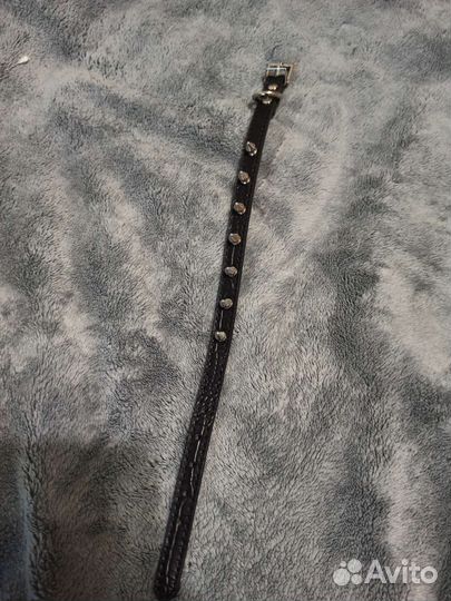 Ошейник для маленькой собаки