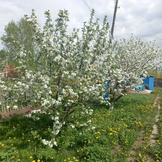 Дача 25 м² на участке 5,5 сот.