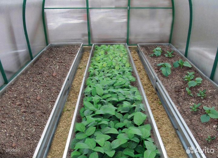 Теплица арочная из поликарбоната