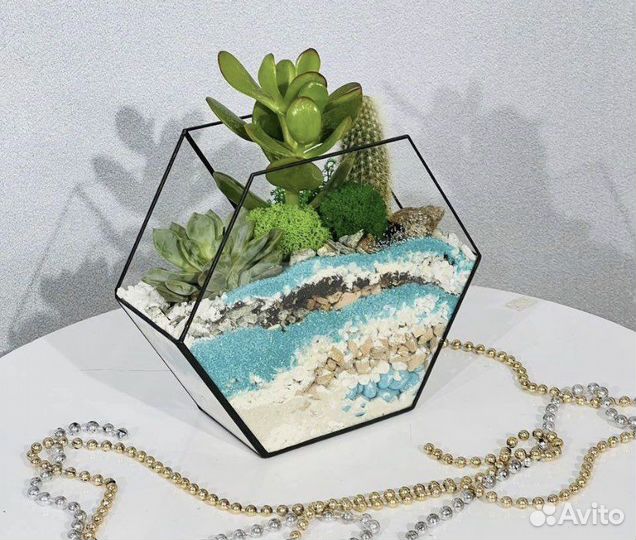 Флорариум интерьерный с суккулентами