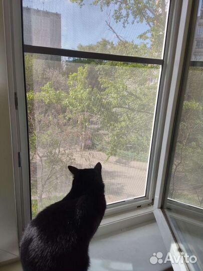 Москитные сетки