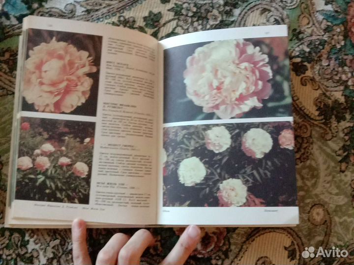 Книги для дачника