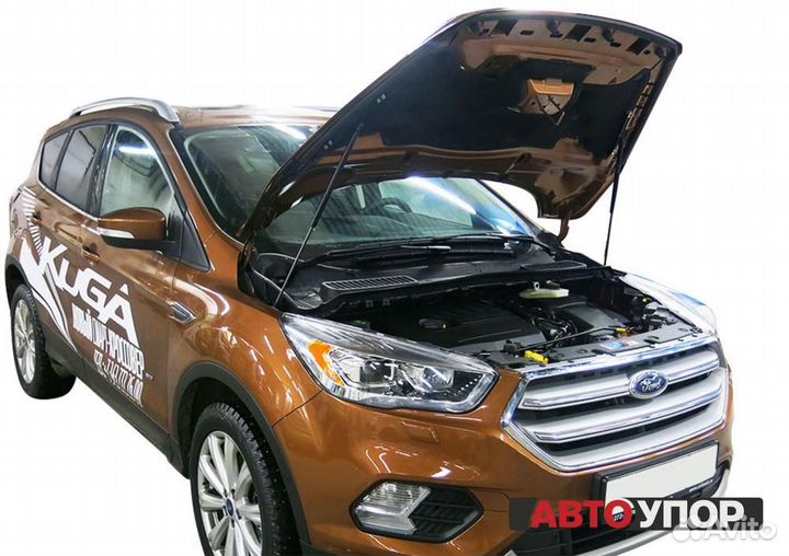Газовые Упоры Капота Ford Kuga 2 (2016)