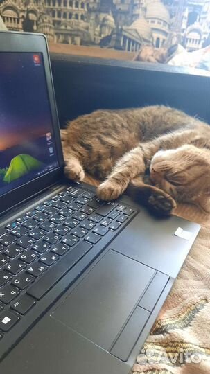 Ноутбук Dell latitude intel i5 7-8 gen