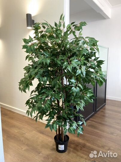 Искусственные деревья / Озеленение под ключ