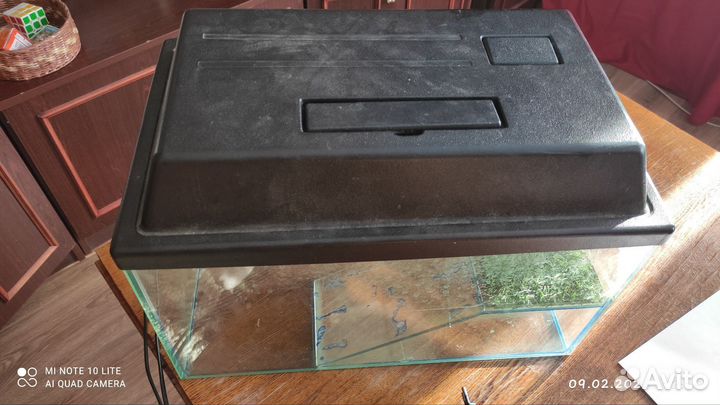 Черепашатник