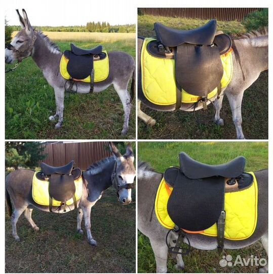 Седло для пони, ослика