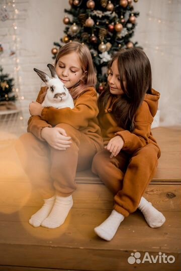 Кролик в аренду на фотосессию