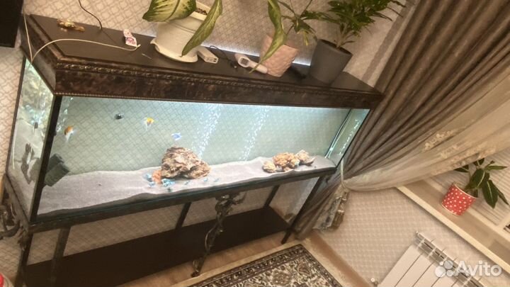 Аквариум 380л