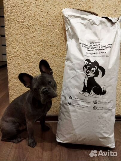 Сухой корм Променад супер-премиум для щенков