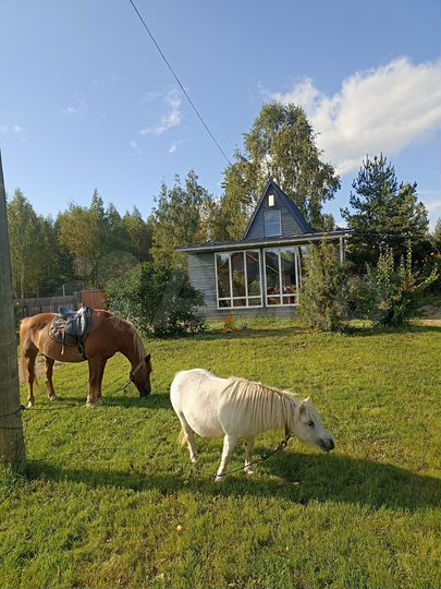 Дом 90 м² на участке 15 сот.