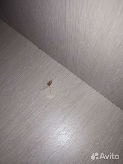 Детская кровать от 3 лет с бортиками