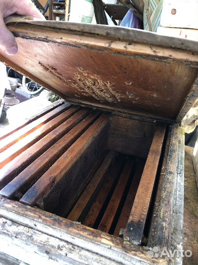 Ульи для пчел