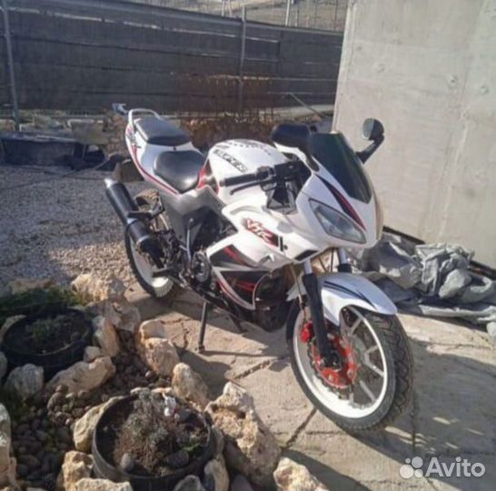 NF 250