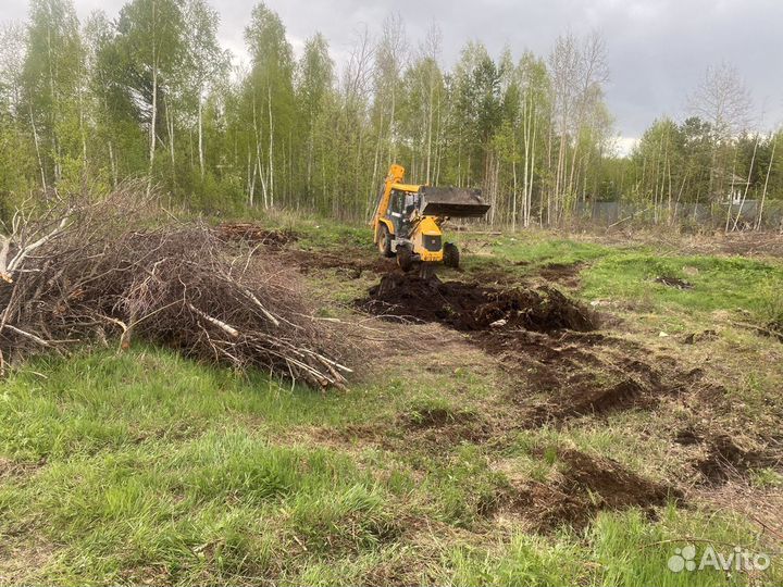 Спил деревьев