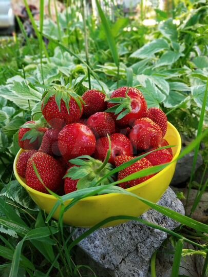 Дача 78 м² на участке 4 сот.