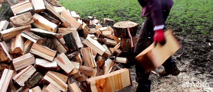 Дрова честные