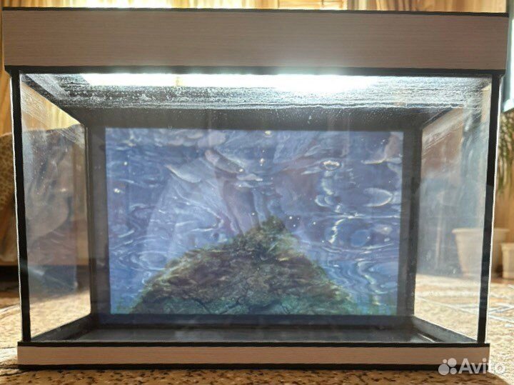 Аквариум 50л