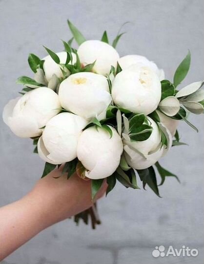 Пионы Букет пионов