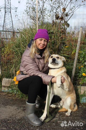 Ждёт свою семью