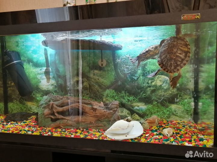 Аквариум на 200 литров с тумбой