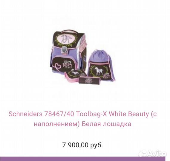 Рюкзак школьный Schneiders