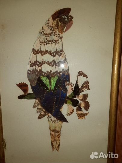 Попугай из крыльев бабочек