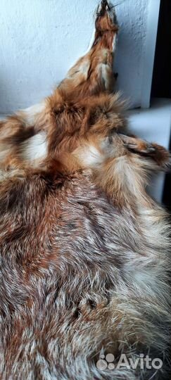 Мех лисы шкурка