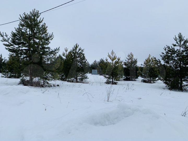 Участок 10 сот. (ИЖС)