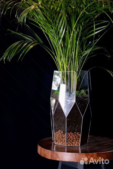 Пальма арека в стеклянном кашпо