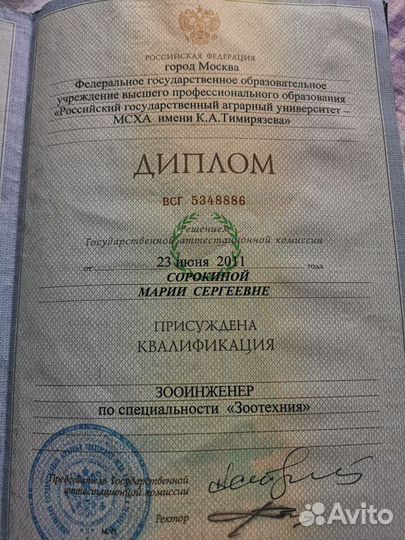 Передержка/Дрессировка собак