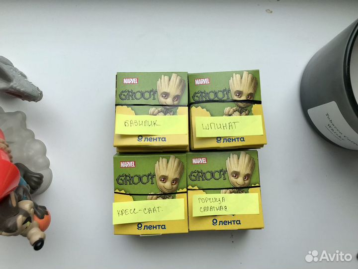 Семена для выращивания Лента groot