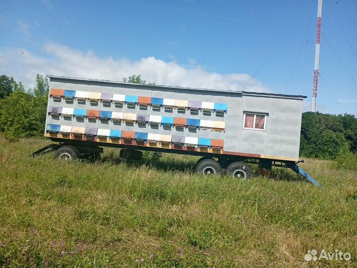 Прицеп-дача ABI Ace, 2022