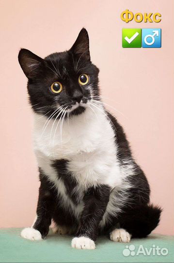 Спасенные из Зоны