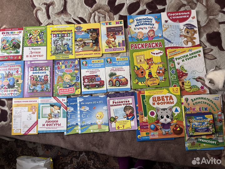 Книги, раскраски, пирамидка Эрудит