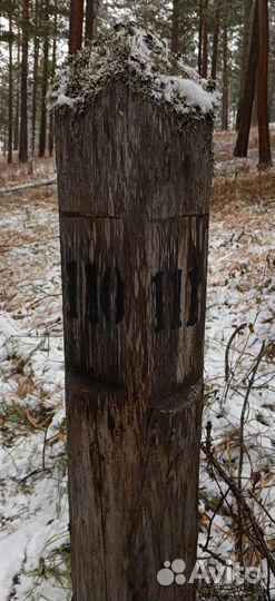 Отвод лесосек (с то), Проекты мероприятий