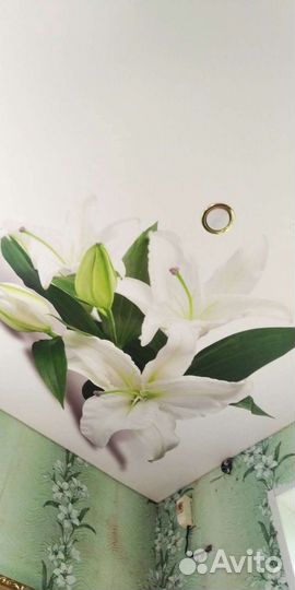 Натяжные потолки