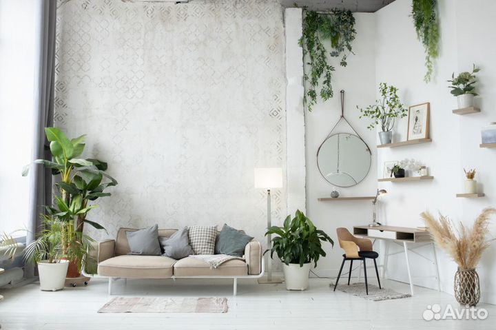 Фотостудия с постоянным светом Naked studio