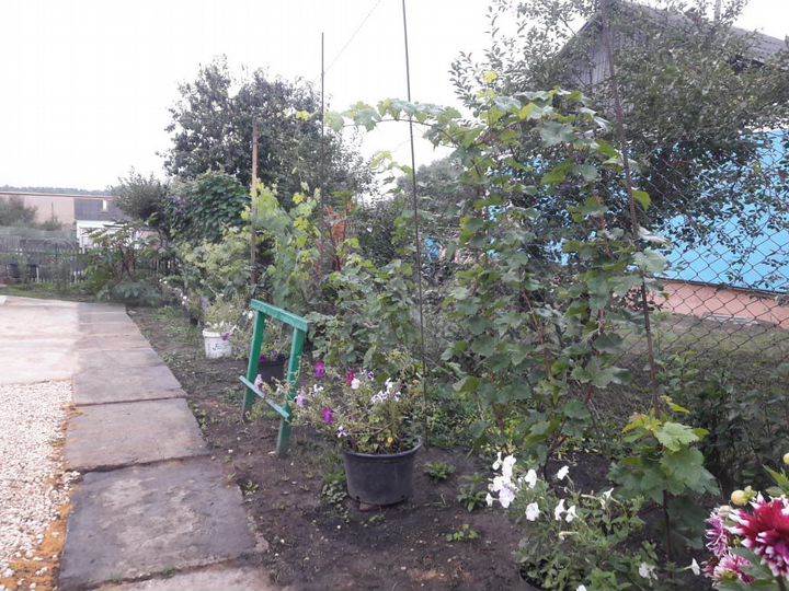 Дом 83 м² на участке 14 сот.