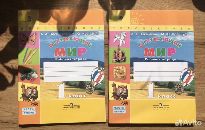 Рабочая тетрадь Окружающий мир 1 класс