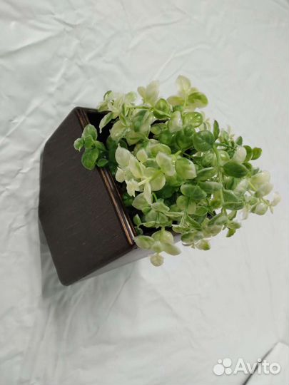 Кашпо для цветов навесная