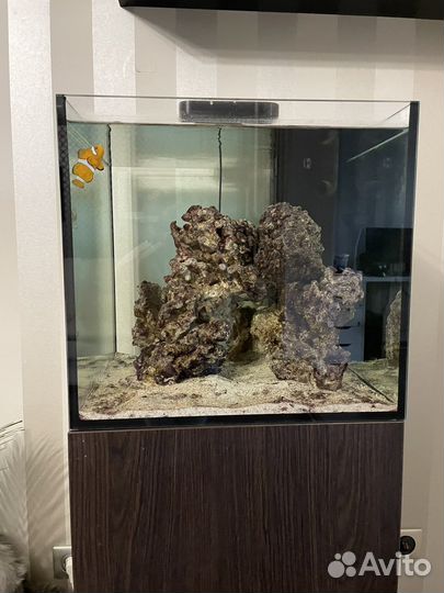 Аквариум с тумбой