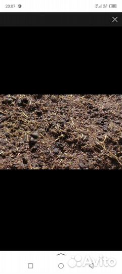 Навоз козий и птичий