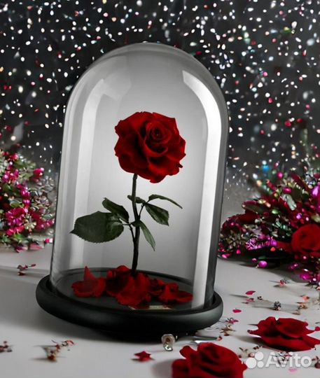 Стабилизированная Роза в колбе на Последний звонок