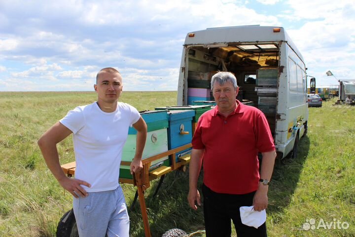 Мёд оптом - своя пасека, гречишный - 7кг