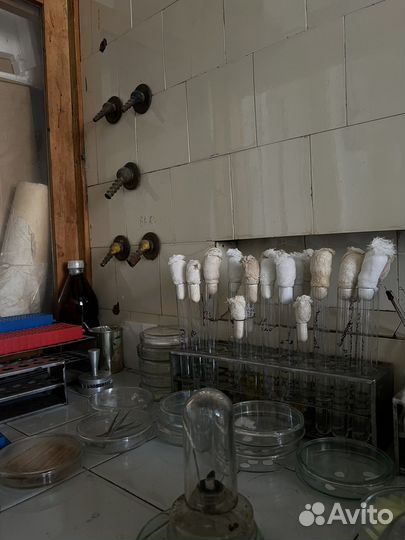 Репетитор по химии и биологии